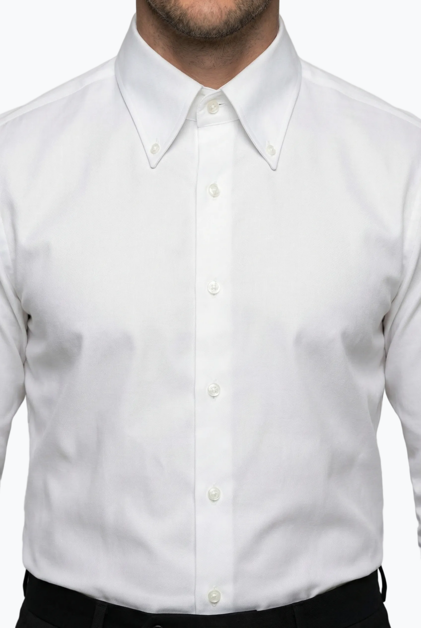 Classic American Collar